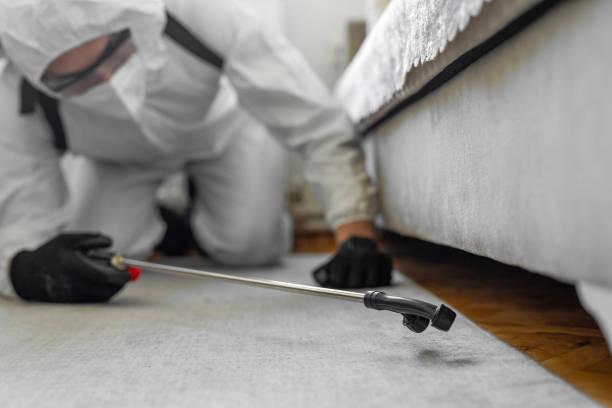 Professional Bed Bug Control technician working in Montpelier, IN